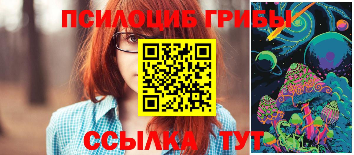 Лесозаводск  Галлюциногенные грибы Psilocybine cubensis  купить наркоту  Галлюциногенные грибы Psilocybine cubensis  Вход с VPN 