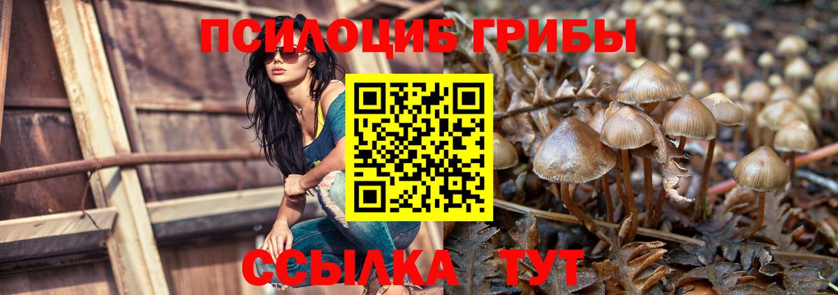 Псилоцибиновые грибы ЛСД Лесозаводск